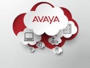 Avaya Cloud Networking